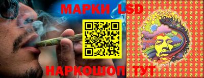 твердый Бийск