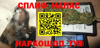 твердый Бийск