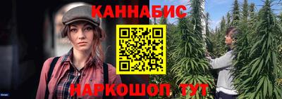 твердый Бийск