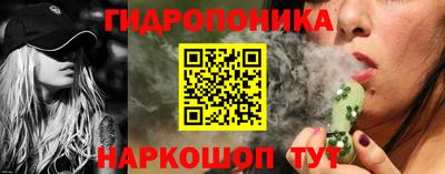 твердый Бийск