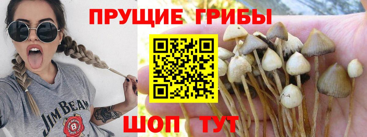 Псилоцибиновые грибы мицелий  Псилоцибиновые грибы Magic Shrooms  Вход с VPN  Жигулёвск 